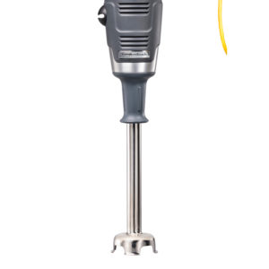 immersion blender 12 in